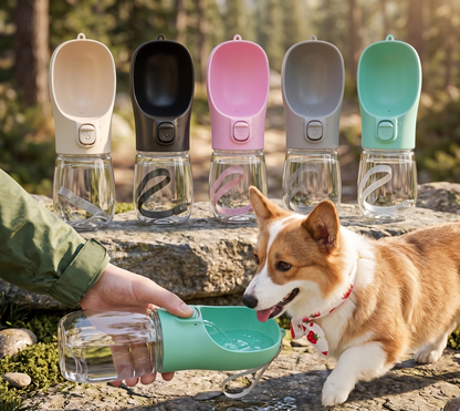 Pack    "L'Indispensable Balade"    🐾      | (🎁 Offre Spéciale) |